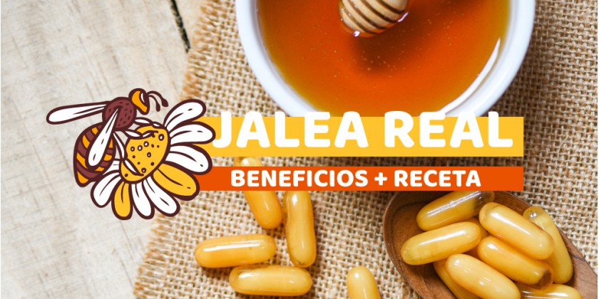 Jalea real ¡Beneficios + receta!